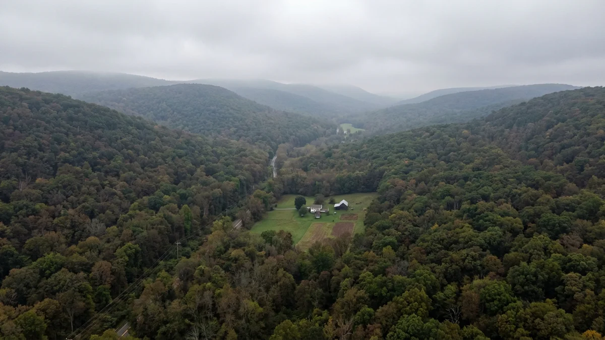 NJ Highlands Act: What It Means for Land Clearing on Your Property