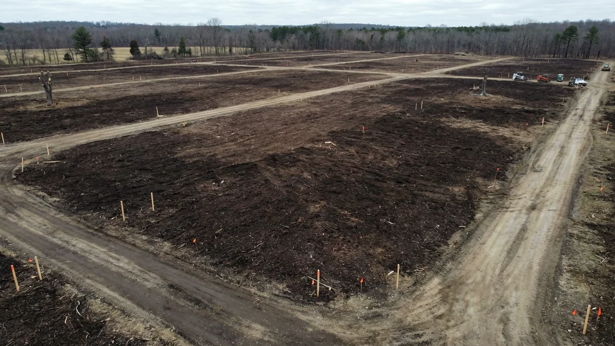Large cleared field in New Jersey prepared for solar array installation with brown mulched ground and access roads cut through former brush