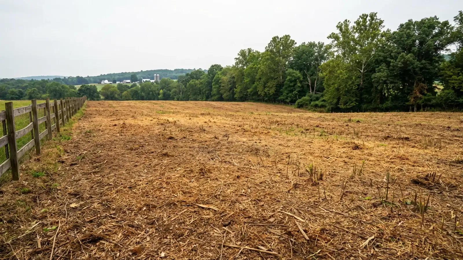 Freshly cleared rolling farmland pasture in Delaware Township, Hunterdon County with brown forestry mulch covering reclaimed field and post-and-rail fence along the edge