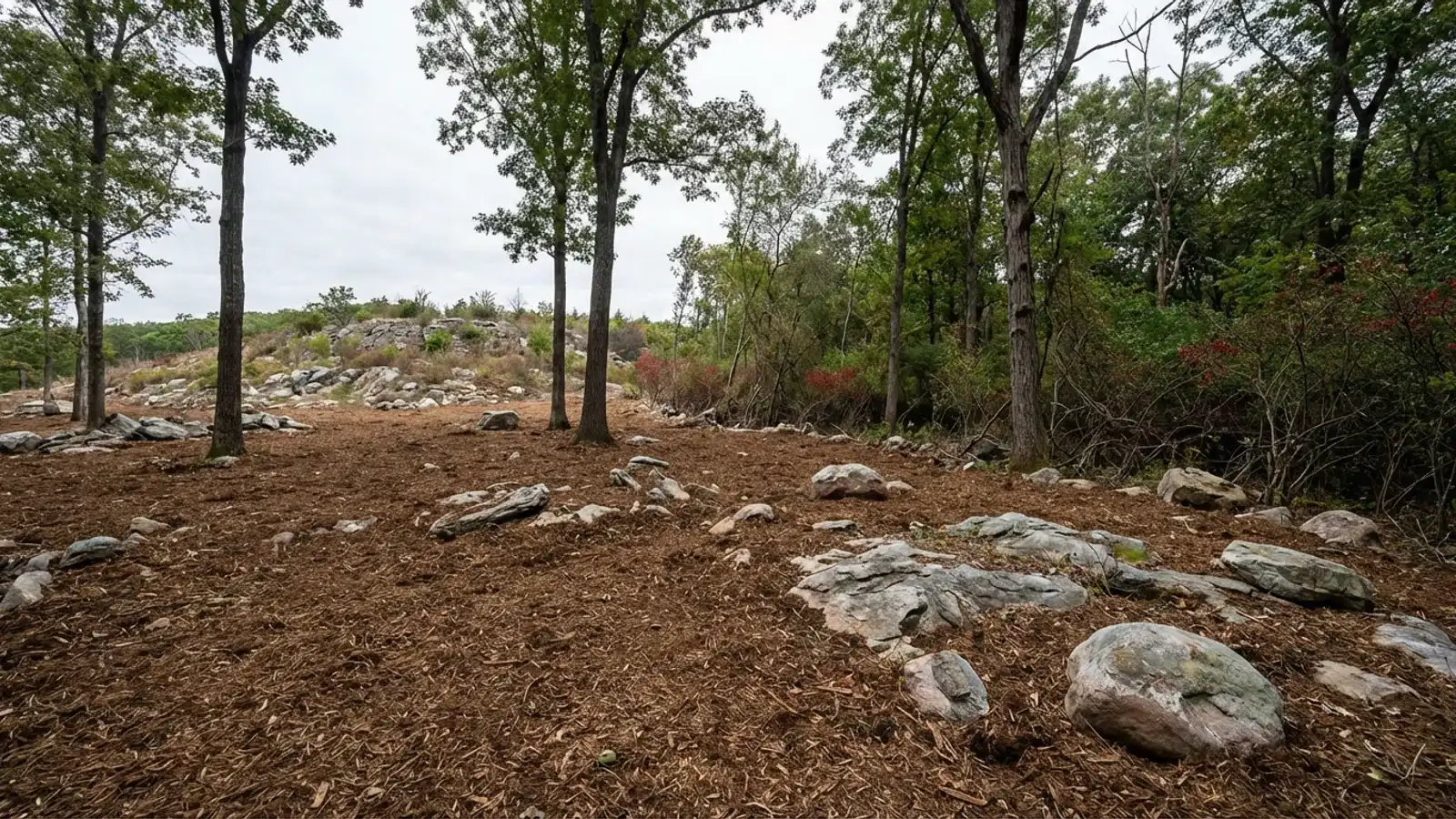 Cleared wooded lot on rocky limestone terrain in Oxford Township, Warren County with fresh mulch between exposed boulders and mature hardwood trees