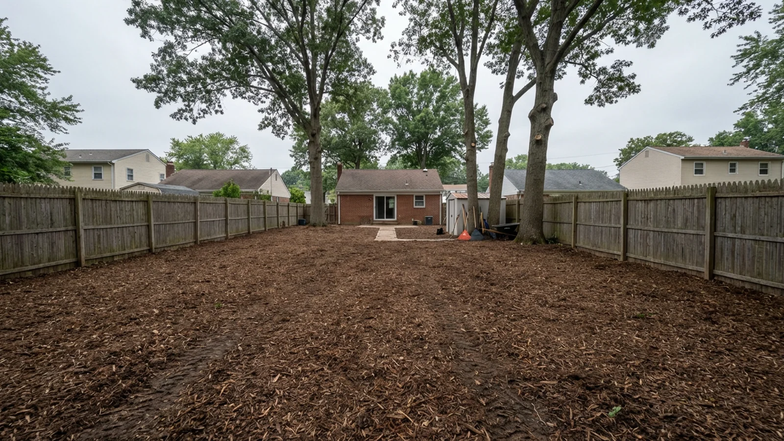After brush clearing opened up a usable New Jersey backyard