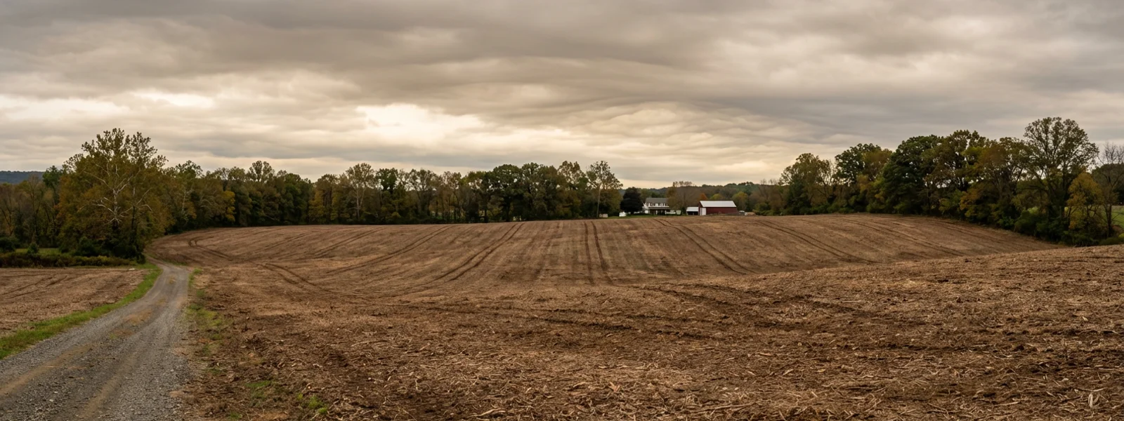 Panoramic view of a ten-acre fallow field in Warren County New Jersey freshly reclaimed by forestry mulching, showing the scale of a large clearing project with parallel track lines across brown mulch