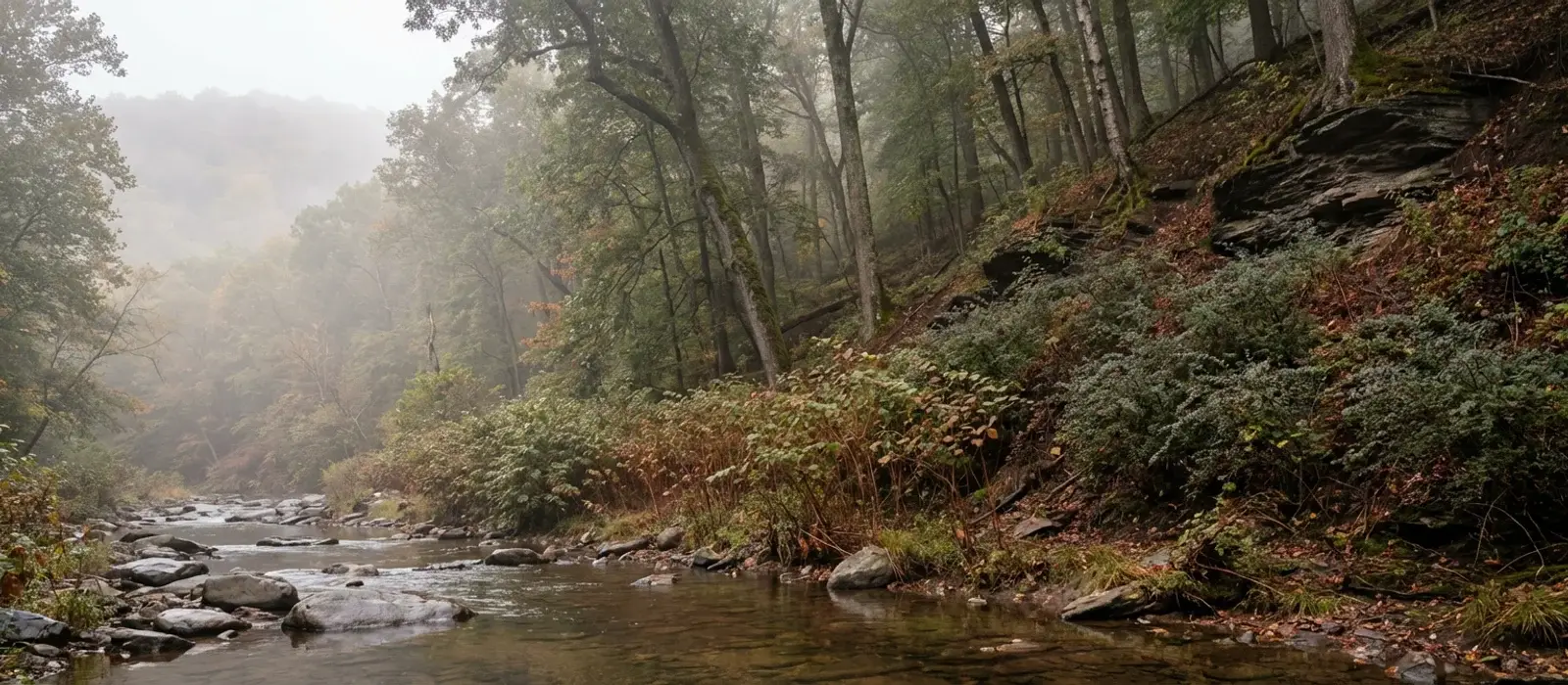 Wooded hillside along the South Branch Raritan River in Hunterdon County New Jersey showing the type of Highlands terrain where environmental regulations guide land clearing decisions