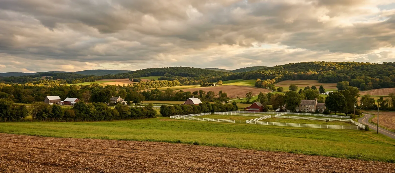 Rolling farmland and wooded hillsides in Hunterdon County New Jersey showing the mixed agricultural and forested terrain typical of the Brush Busters service area