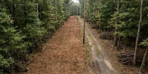 Cleared access road through New Jersey woodland