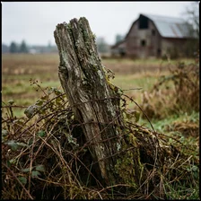 Fence Line Clearing
