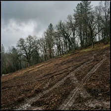 Hillside Clearing